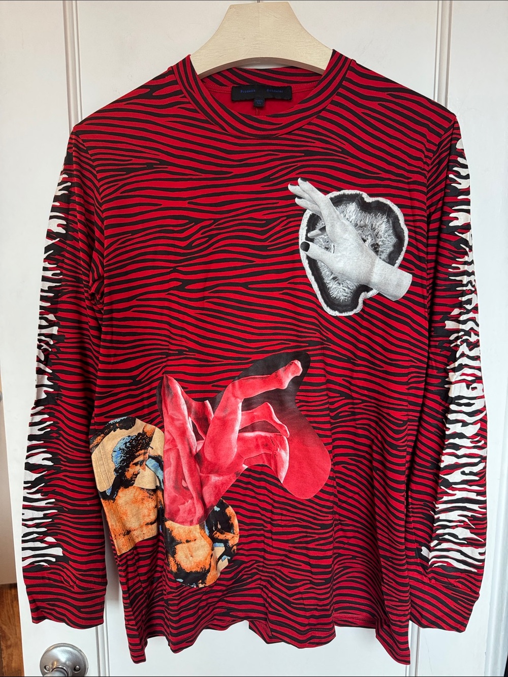 Proenza Schouler Red Zebra-Stripe Long Sleeve Graphic Top